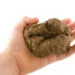Doi bătrâni, soț și soție, au scăpat basma curată după ce i-au murdărit casa unei vecine cu fecale și i-au produs distrugeri în grădină. Cei doi erau supărați că li se adună apa pluvială în curte