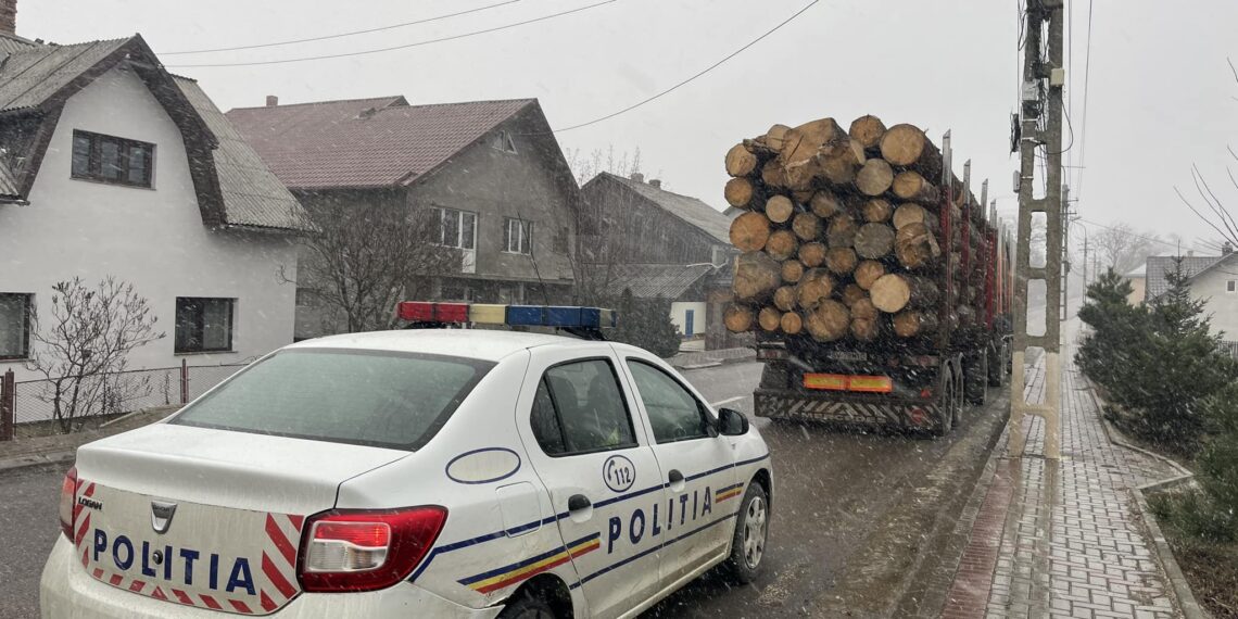 FOTO Transport ilegal de material lemnos, depistat pe raza orașului Solca. Șoferul a fost amendat cu 2.870 de lei