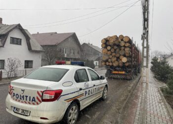 FOTO Transport ilegal de material lemnos, depistat pe raza orașului Solca. Șoferul a fost amendat cu 2.870 de lei