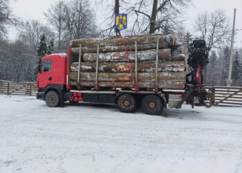 FOTO Polițiștii au confiscat un ansamblu de vehicule, în valoare de 50.000 de euro, folosit la transportul ilegal de material lemnos