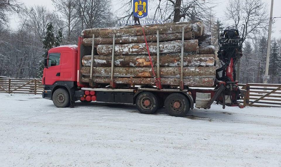 FOTO Polițiștii au confiscat un ansamblu de vehicule, în valoare de 50.000 de euro, folosit la transportul ilegal de material lemnos