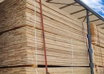 Polițiștii au confiscat peste 9 metri cubi de cherestea, transportată ilegal pe raza comunei Drăgușeni