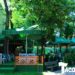 Scandal în restaurantul Taco Loco, între prietenii de pahar. Spiritele s-au încins, după ce un bărbat s-a îmbătat și a început să deranjeze persoanele din jurul său
