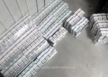 FOTO O tânără de 20 de ani a încercat să introducă în România, prin PTF Vicovu de Sus, peste 1.500 de pachete cu țigări de contrabandă. Polițiștii de frontieră i-au indisponibilizat mașina