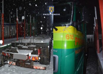 FOTO Polițiștii suceveni au confiscat un camion ce transporta ilegal material lemnos pe raza localității Vatra Moldoviței