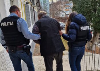 FOTO Un fălticenean s-a ”răcorit” 24 de ore în arestul IPJ Suceava pentru că a decapitat o pisică în vârstă de 7 luni. Ucigașul a decapitat felina cu un cuțit, în curtea locuinței sale