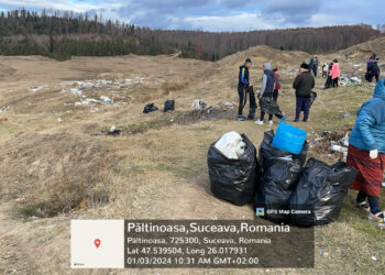 FOTO Primăria Păltinoasa a fost amendată cu 45.000 de lei, pentru ”împodobirea” cu tot felul de deșeuri a unui câmp din localitate