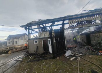VIDEO Un adăpost de animale din Mălini s-a făcut scrum în urma unui incendiu. Un bărbat a suferit arsuri pe aproximativ 60% din suprafața corporală