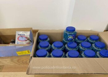 FOTO Un sucevean este cercetat pentru că a fost prins cu aproape 11 kilograme de otravă pentru rozătoare în microbuz, în PTF Vicovu de Sus