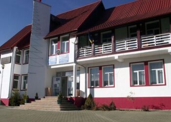 Primăria Șaru Dornei plătește circa 28.000 de euro pentru ”servicii de exploatare masă lemnoasă și transport material lemnos”
