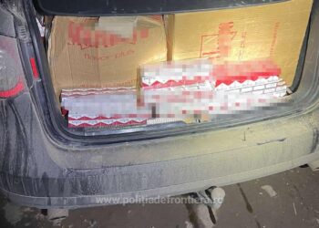 FOTO Mașină burdușită cu 7.300 de pachete cu țigări de contrabandă, abandonată pe raza localității Straja, după o urmărire