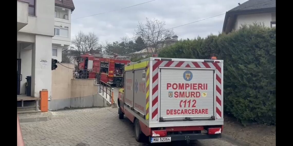 VIDEO Incendiu la un bloc de pe strada Narciselor. Cinci pisici și trei câini au murit, iar șase porumbei au fost salvati
