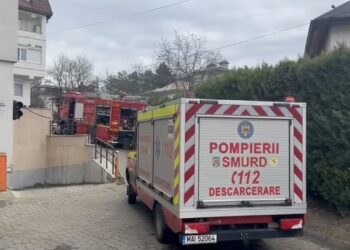 VIDEO Incendiu la un bloc de pe strada Narciselor. Cinci pisici și trei câini au murit, iar șase porumbei au fost salvati