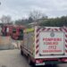 VIDEO Incendiu la un bloc de pe strada Narciselor. Cinci pisici și trei câini au murit, iar șase porumbei au fost salvati