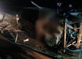 FOTO Coliziune între o căruță și un autoturism, la ieșire din Rădăuți spre Burla. Calul a murit, iar două persoane sunt evaluate medical