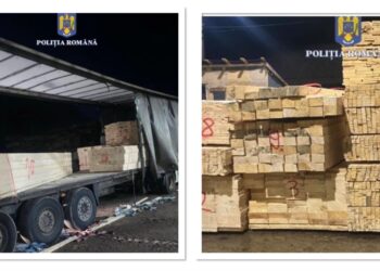 FOTO Polițiștii bihoreni au indisponibilizat un ansamblu de vehicule și au confiscat peste 13 metri cubi de cherestea fără proveniență legală, datorită echipei de activiști de mediu ”Străjerii Pădurilor”