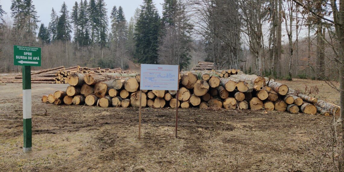 FOTO Garda de Mediu Suceava a aplicat amenzi în valoare totală de 32.000 de lei, după ce a efectuat 34 de controale în fondul forestier și la operatorii economici care se ocupă de exploatări forestiere