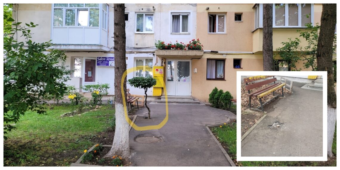 FOTO Locatarii unui bloc de pe Aleea Saturn, nemulțumiți că Primăria Suceava le-a tăiat un copăcel ornamental ce anima fața blocului. Arborii putrezi, înalți cât blocul, au fost trecuți cu vederea