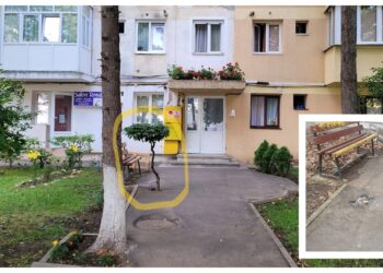 FOTO Locatarii unui bloc de pe Aleea Saturn, nemulțumiți că Primăria Suceava le-a tăiat un copăcel ornamental ce anima fața blocului. Arborii putrezi, înalți cât blocul, au fost trecuți cu vederea