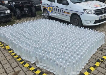 FOTO Două autovehicule, țigări de contrabandă și alcool în valoare de circa 140.000 de lei, confiscate de polițiști în zona Vatra Dornei