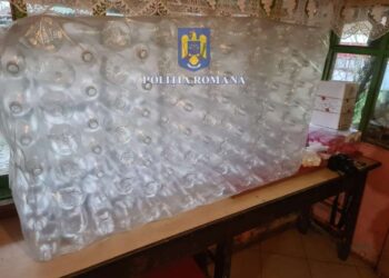 Administrator de magazin, condamnat la închisoare cu executare, pentru deținere de țigări și alcool de contrabandă. Individul a susținut că bunurile le-a cumpărat soția sa bolnavă, de la un străin misterios, fără să-i spună și lui