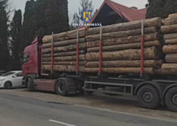 VIDEO Transport ilegal de material lemnos, depistat în parcarea Egger Rădăuți. Polițiștii indisponibilizat ansamblul de vehicule și au confiscat peste 40 de metri cubi de material lemnos, datorită activiștilor de mediu din echipa Străjerii Pădurilor