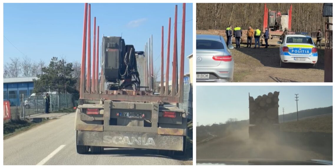 VIDEO ”Străjerii Pădurilor” le-au servit pe tavă polițiștilor suceveni un camion care transporta ilegal peste 50 de metri cubi de material lemnos. Oamenii legii au indisponibilizat ansamblul de vehicule și au confiscat lemnul