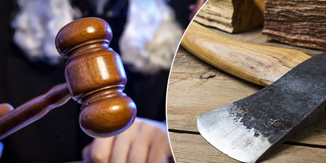 Pedepse simbolice pentru trei sălbatici care l-au bătut cu bestialitate pe un bărbat, după ce l-au ademenit pe malul râului Siret, spunându-i că vor pescui și vor face grătar. Agresorii i-au ars fața și l-au bătut cu un topor, o bâtă și un lanț cu bile