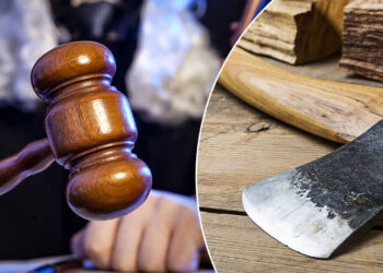 Pedepse simbolice pentru trei sălbatici care l-au bătut cu bestialitate pe un bărbat, după ce l-au ademenit pe malul râului Siret, spunându-i că vor pescui și vor face grătar. Agresorii i-au ars fața și l-au bătut cu un topor, o bâtă și un lanț cu bile
