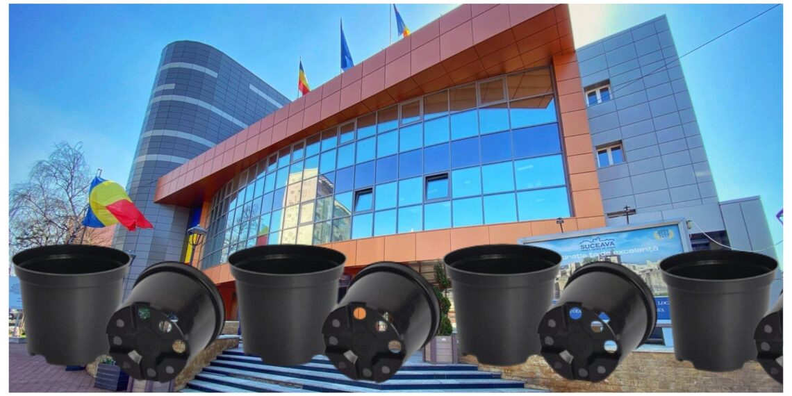 Primăria municipiului Suceava cumpără 150.000 de ghivece pentru răsaduri, cu circa 10.000 de euro