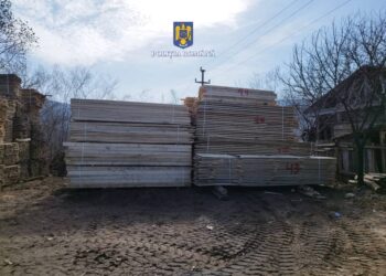 FOTO Material lemnos, în valoare de peste 130.000 lei, confiscat în urma unor controale la agenți economici din domeniul silvic