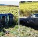 Peste trei ani de închisoare pentru un dealer de droguri, lăudat printre consumatorii din Rădăuți. Succesul său s-a năruit când a adormit la volan și a provocat un accident rutier. Tovarășul lui de încredere a profitat de accident și a fugit cu circa 100 de grame de ”iarbă” și vreo 170 de grame de ”praf”. Clienții l-au ”turnat” autorităților și un traficant din Cluj-Napoca l-a amenințat cu moartea