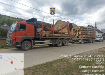 FOTO Ansamblu auto în valoare de 60.000 de euro, confiscat de polițiștii din Sucevița, pentru transport ilegal de material lemnos