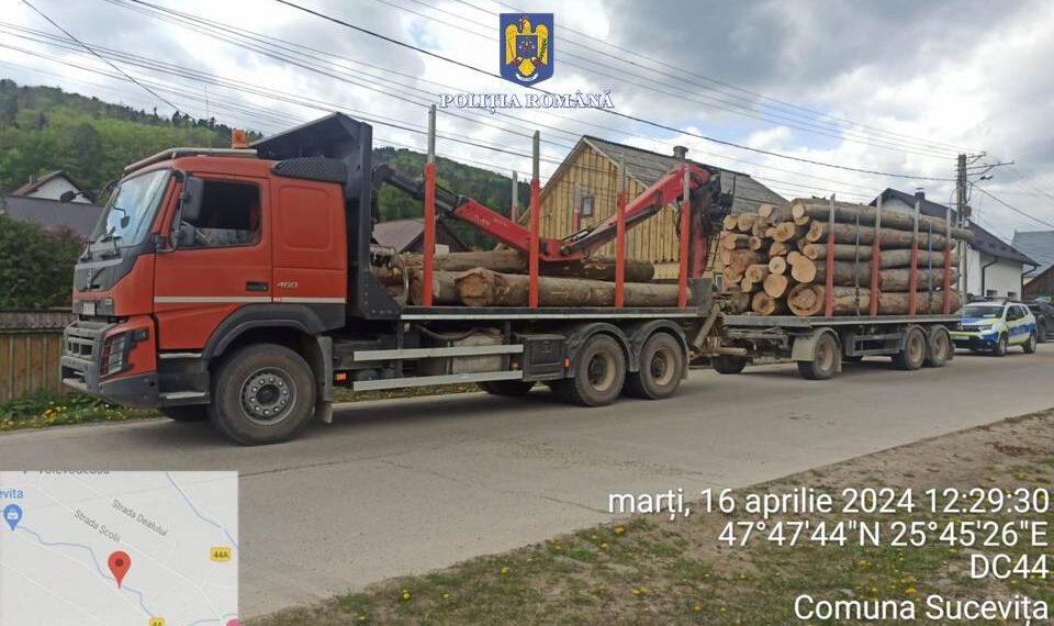 FOTO Ansamblu auto în valoare de 60.000 de euro, confiscat de polițiștii din Sucevița, pentru transport ilegal de material lemnos