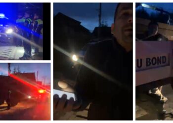 VIDEO Un gaterist din Păltinoasa a încercat să îi ia de proști de polițiști, după ce șoferul unui camion care transporta material lemnos a refuzat să oprească la semnalul oamenilor legii: ”Băi, lind*c fără de p*la, ce vrei?”. S-au aplicat cinci amenzi și s-au confiscat câteva lemne