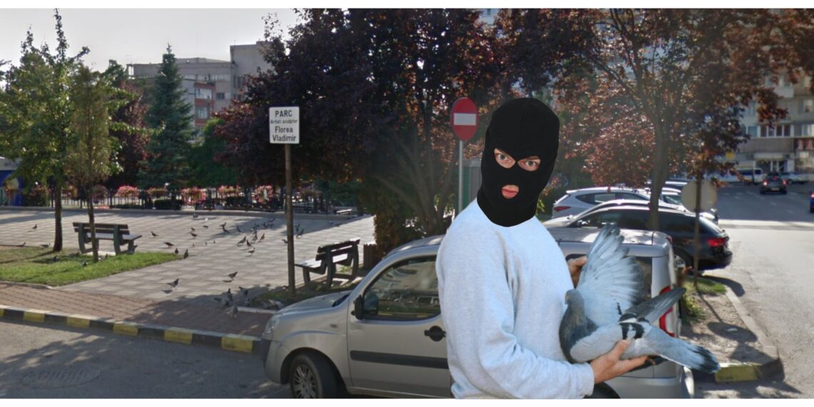 Dosar penal pentru un tânăr care a furat doi porumbei din parcul de lângă Policlinica Areni. Polițiștii l-au găsit pe individ în sala de jocuri ”Casa Pariurilor”, cu porumbeii în buzunare