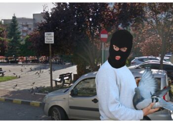Dosar penal pentru un tânăr care a furat doi porumbei din parcul de lângă Policlinica Areni. Polițiștii l-au găsit pe individ în sala de jocuri ”Casa Pariurilor”, cu porumbeii în buzunare