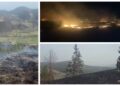 VIDEO Aproape 100 de hectare de teren au fost mistuite de flăcări din cauza incendiilor de vegetație, în doar două zile, în județul Suceava