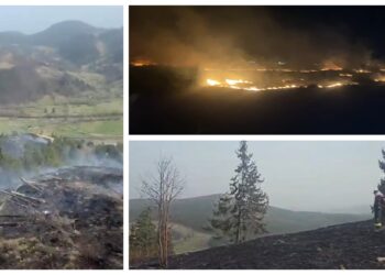 VIDEO Aproape 100 de hectare de teren au fost mistuite de flăcări din cauza incendiilor de vegetație, în doar două zile, în județul Suceava