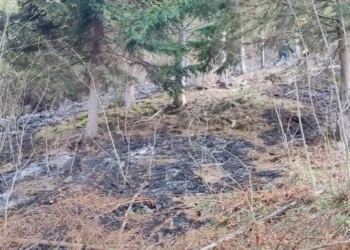 VIDEO Pompierii militari suceveni au intervenit la stingerea a 17 incendii de vegetație uscată, în ultima săptămână. ISU Suceava: ”Reluăm apelul către populaţie, să respecte interdicţiile privind focul deschis, mai ales în această perioadă când flăcările sunt favorizate de condiţiile meteorologice”