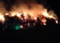 Un cioban din Botoșani, care a incendiat depozitul de furaje al unei vecine, pentru a se răzbuna că i-ar fi făcut ”lipeala” iubitei sale cu un alt bărbat, a fost condamnat definitiv la trei ani de închisoare