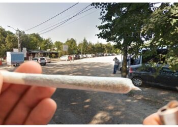 Un tânăr din Moara a fost condamnat la doi ani de închisoare cu suspendare, pentru că le-a dat prietenilor săi să fumeze dintr-un joint cu hașiș, în zona Cetății de Scaun a Sucevei
