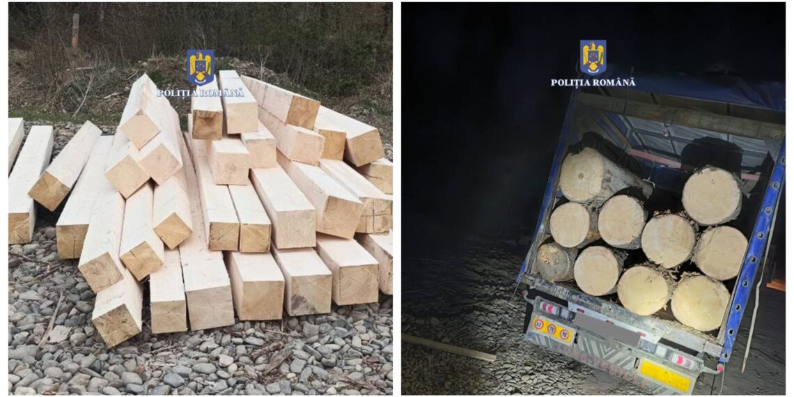 FOTO Cherestea și bușteni în valoare de peste 10.000 lei conficate de către polițiștii din Marginea