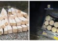 FOTO Cherestea și bușteni în valoare de peste 10.000 lei conficate de către polițiștii din Marginea