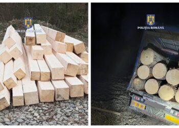 FOTO Cherestea și bușteni în valoare de peste 10.000 lei conficate de către polițiștii din Marginea