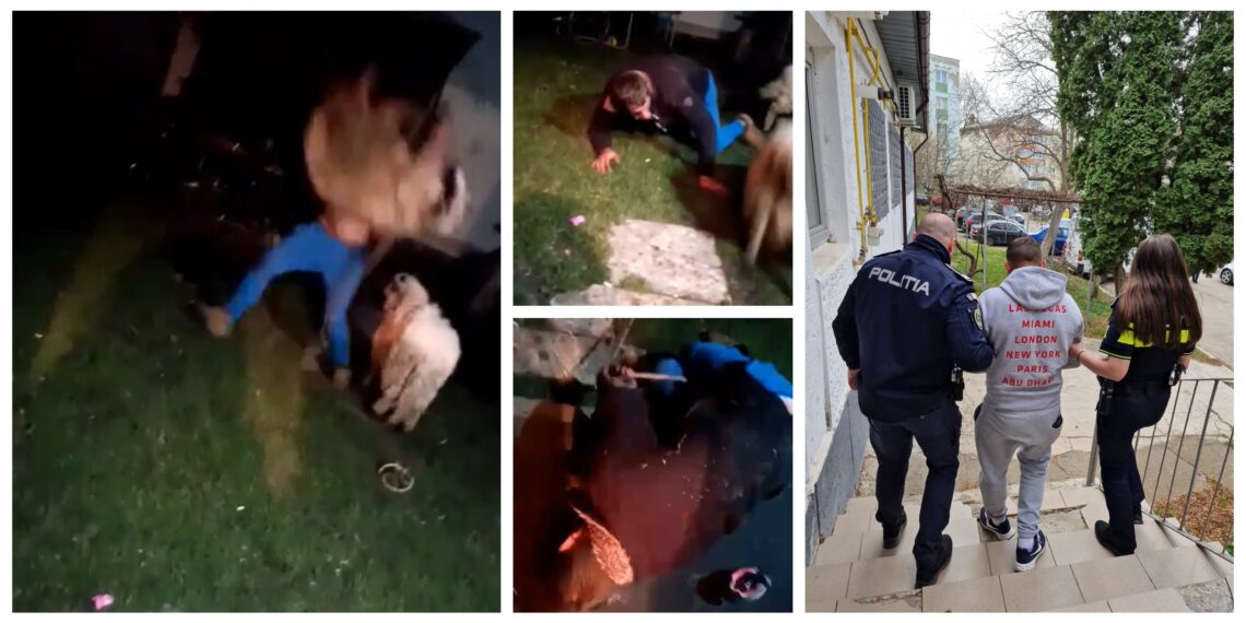 VIDEO Un sălbatic din Burla a ajuns în arest, după ce a bătut o oaie la ora 4 dimineața. Individul a izbit oaia de pământ și a lovit-o cu pumnii și picioarele de nenumărate ori
