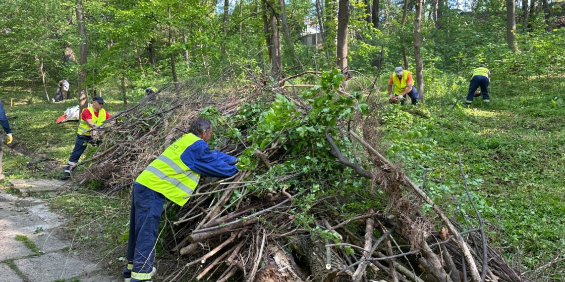 FOTO Primăria Suceava și Direcția Silvică au igienizat Parcul Șipote: ”Curățenia făcută trebuie menținută!”