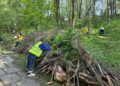 FOTO Primăria Suceava și Direcția Silvică au igienizat Parcul Șipote: ”Curățenia făcută trebuie menținută!”