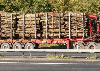 Un patron din Pojorâta a fost condamnat la șase luni de închisoare cu suspendare pentru un transport ilegal de material lemnos. Acesta a încercat să-i ducă de nas pe polițiști, dar fără succes