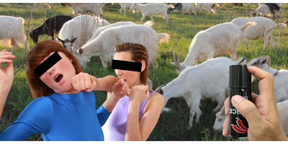 O suceveancă, care a luat-o la pumni pe o femeie de față cu polițiștii, a fost condamnată la o amendă penală de 3.000 de lei. Oamenii legii au folosit spray-ul lacrimogen față de agresoarea nervoasă pentru că niște capre i-au mâncat florile